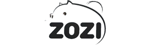 Zozi.ru (ex. AliKopi)